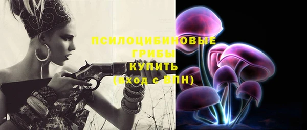 синтетический гашиш Богданович